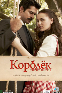 Королёк – птичка певчая 
