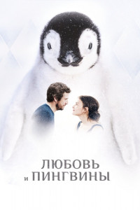 Любовь и пингвины 