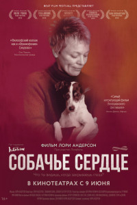 Собачье сердце 