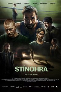 Игра теней 