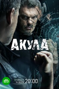 Акула 