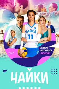 Чайки 