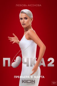 Почка 