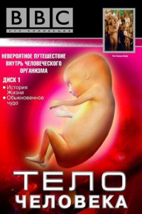 BBC: Тело человека 