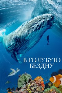 В голубую бездну 