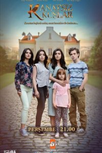 Птицы без крыльев 