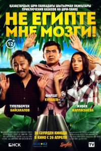 Не египте мне мозги! 