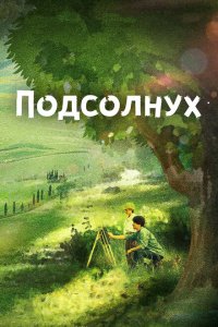 Подсолнух 