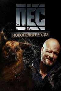 Новогодний пёс 
