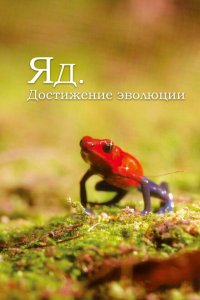 Яд. Достижение эволюции 