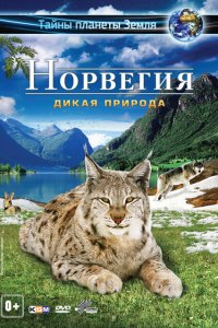 Норвегия 3D: Дикая природа 