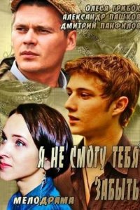Я не смогу тебя забыть 