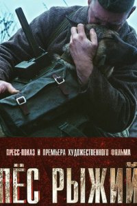 Пёс рыжий 